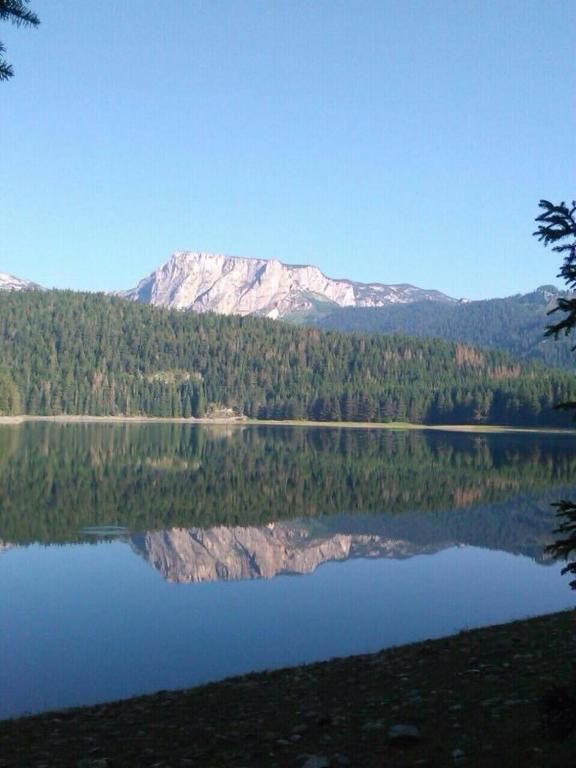Лоджи Chalet Hill Zabljak Жабляк